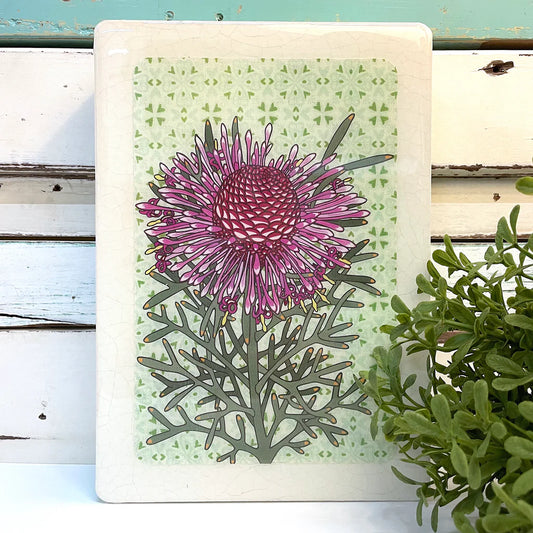 Rose Coneflower Medi Art Tile