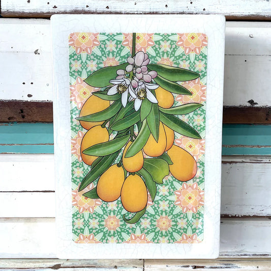 Meg's Cumquat Medi Art Tile