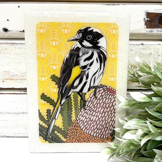 Meg's Honeyeater Medi Art Tile