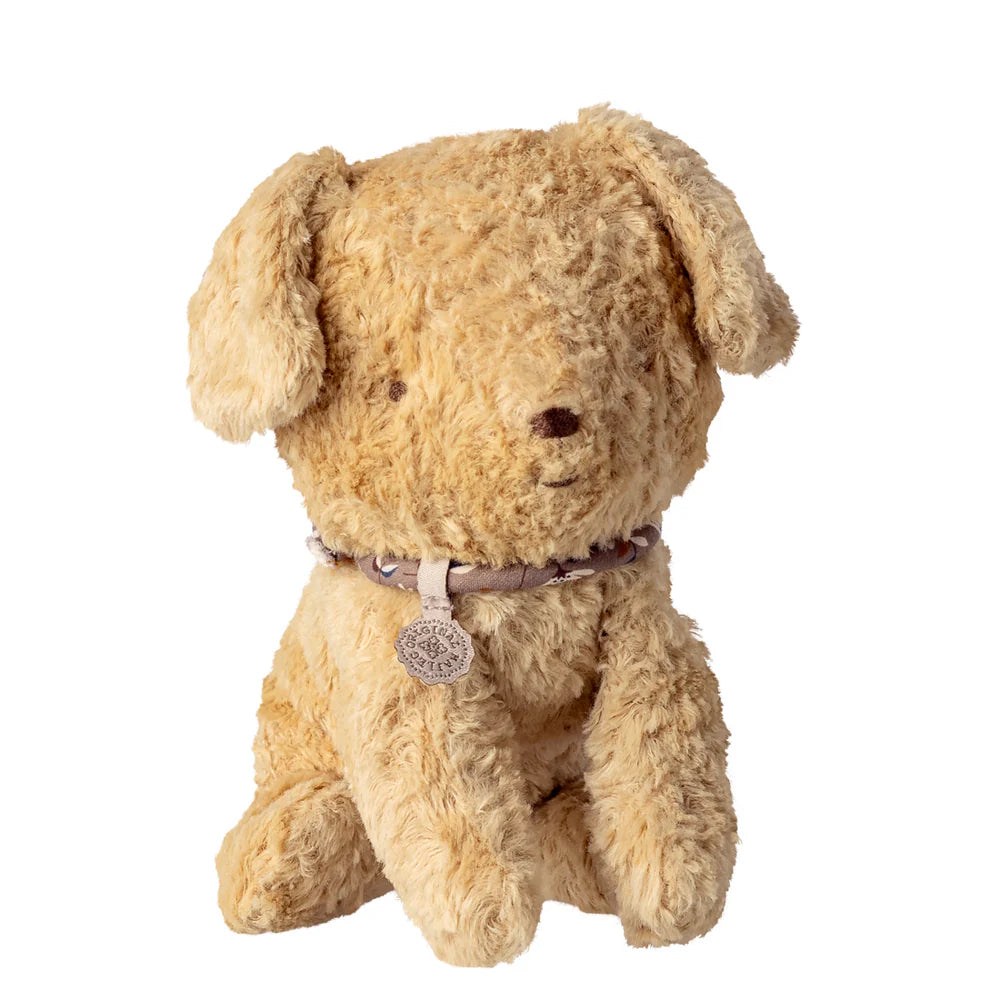 Puppy Small Soft Sand