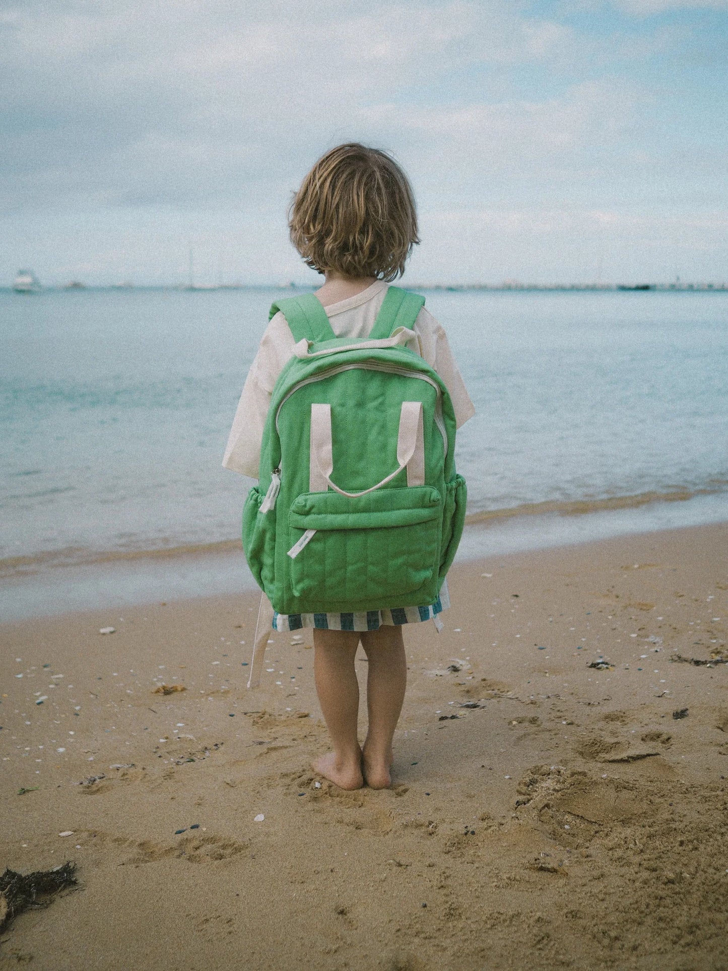 Everyday Backpack ~ Apple