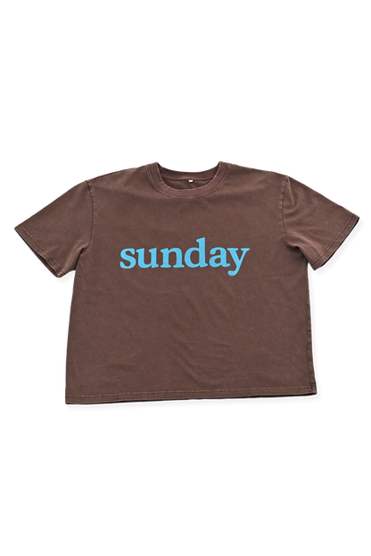 Sunday Tee ~ Brown + Blue