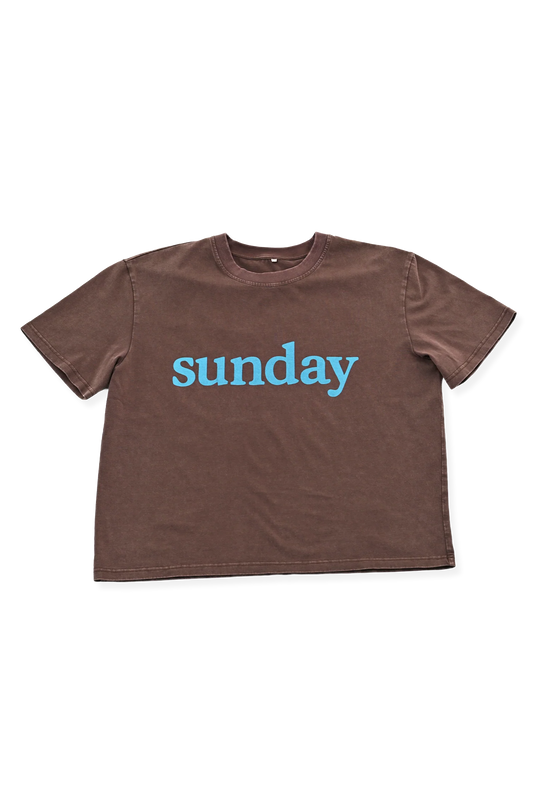 Sunday Tee ~ Brown + Blue