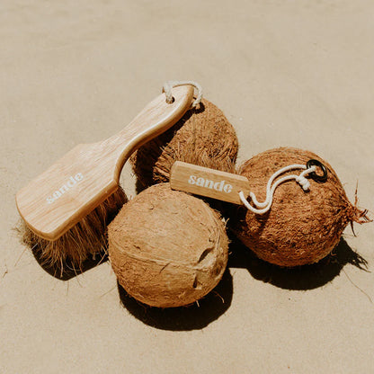 Sand Brush Mini