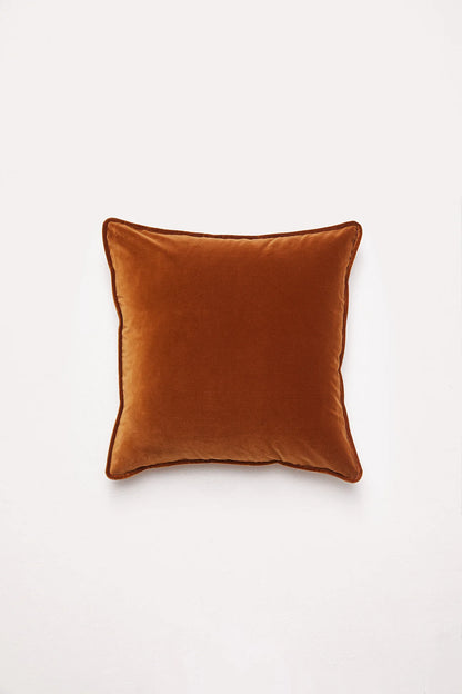Big Velvet Cushion ~ Toffee