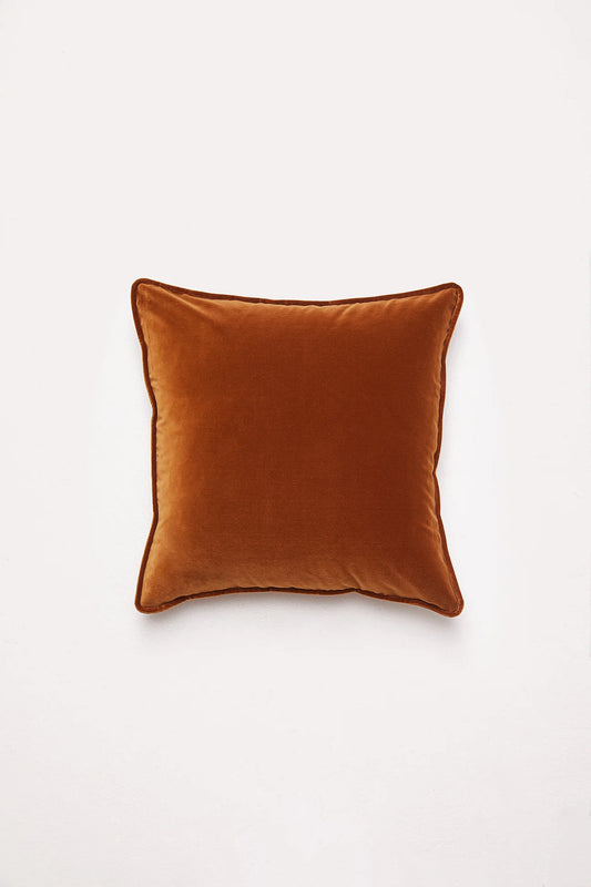 Big Velvet Cushion ~ Toffee