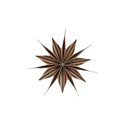 Toppu Christmas Star Small