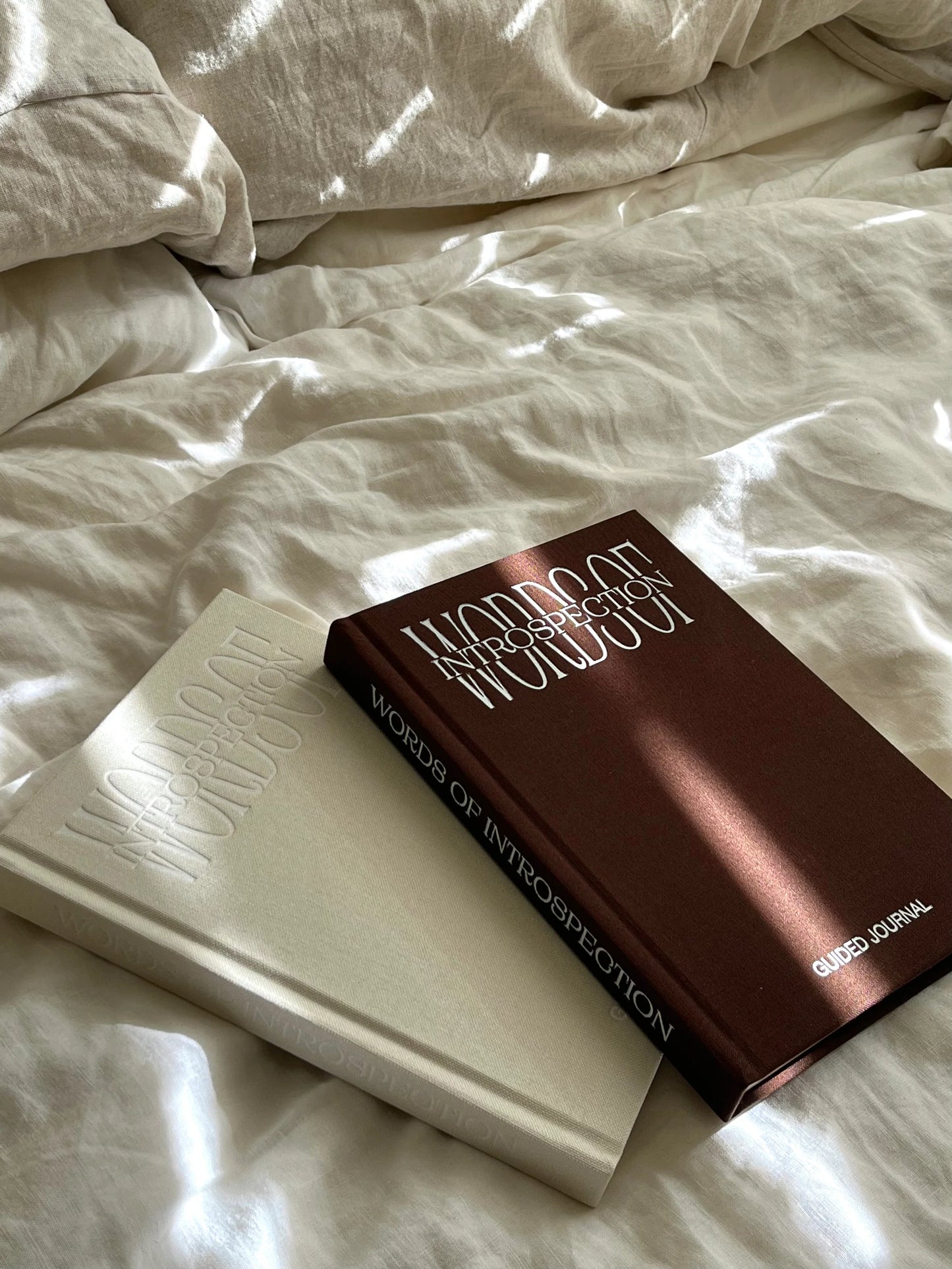 Words Of Introspect Journal ~ Chocolate