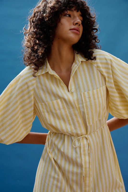 Zoya Shirt Dress Lemon Stripe