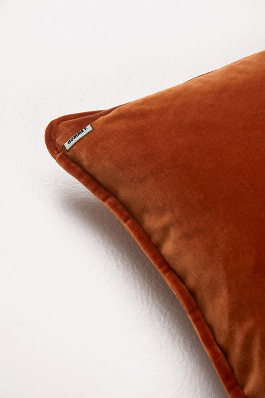 Big Velvet Cushion ~ Toffee