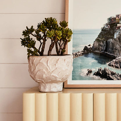 Daphne Pot