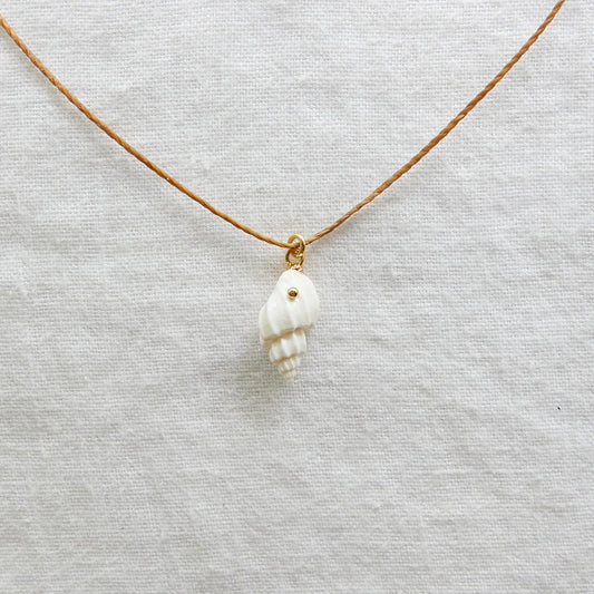 Natural Shell Cord necklace