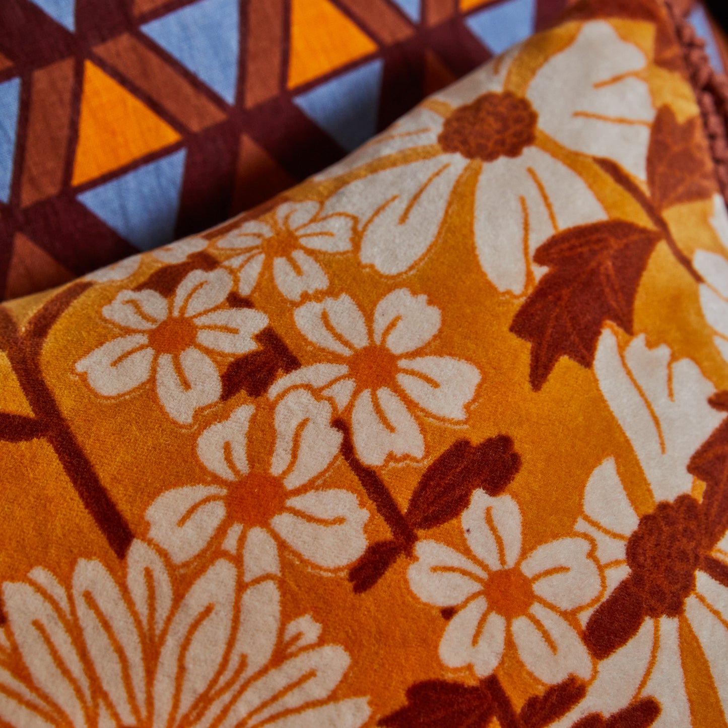 Bernanda Velvet Cushion Valencia