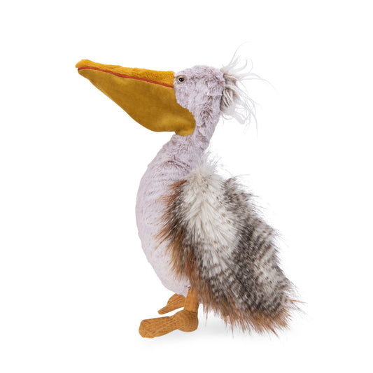 Autour du monde Pelican