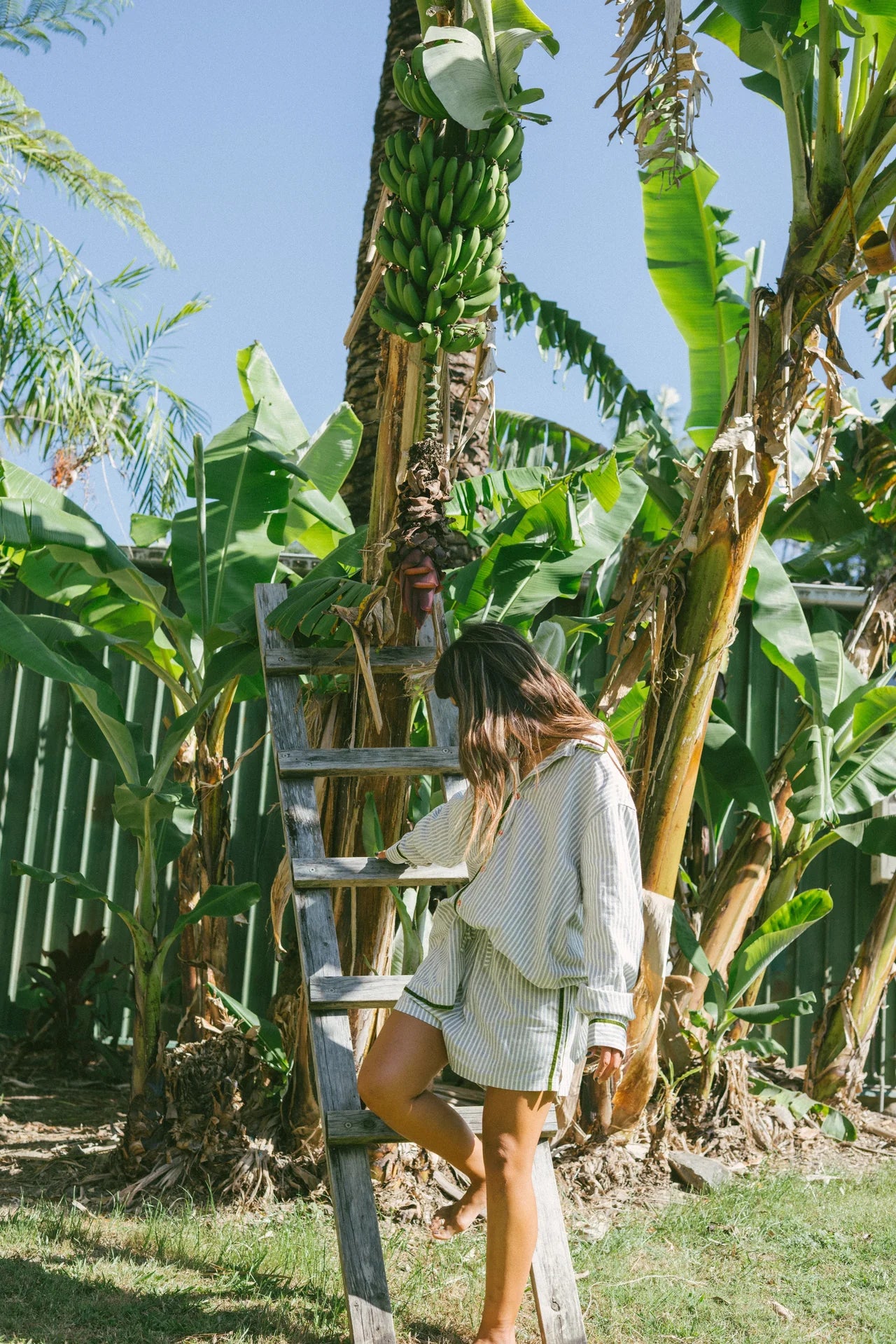 PJ Shirt ~ Green Velvet Stripe