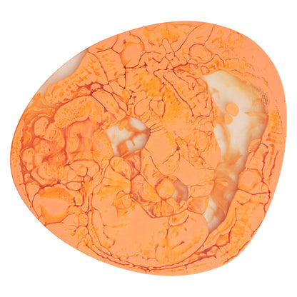 Charlie Board - Persimmon