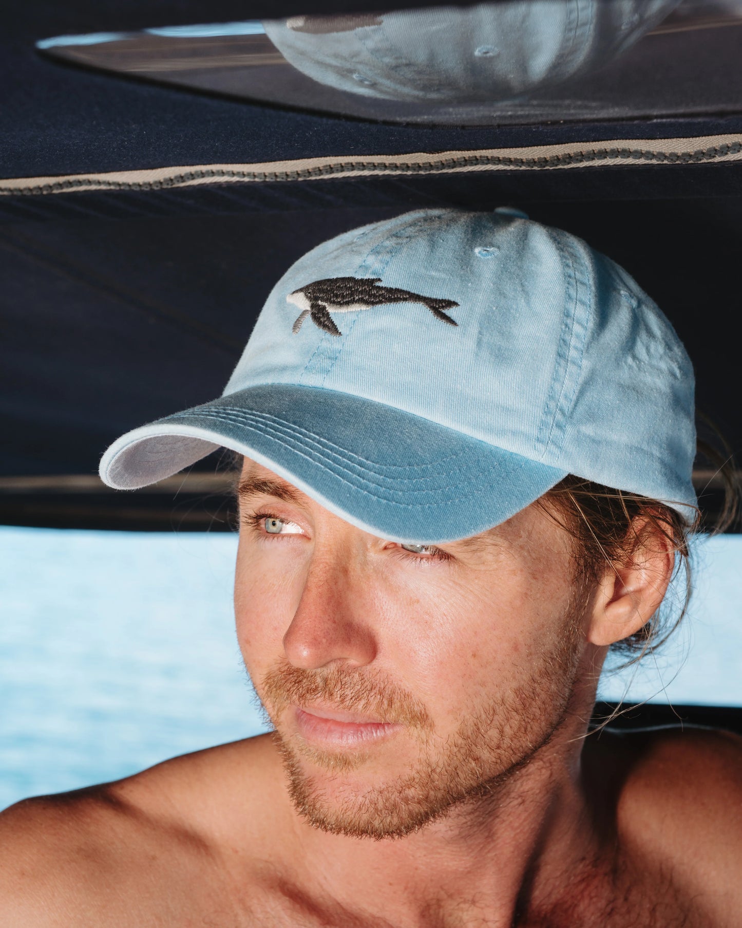 Humpback Whale Cap