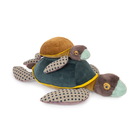Autour du monde Turtle