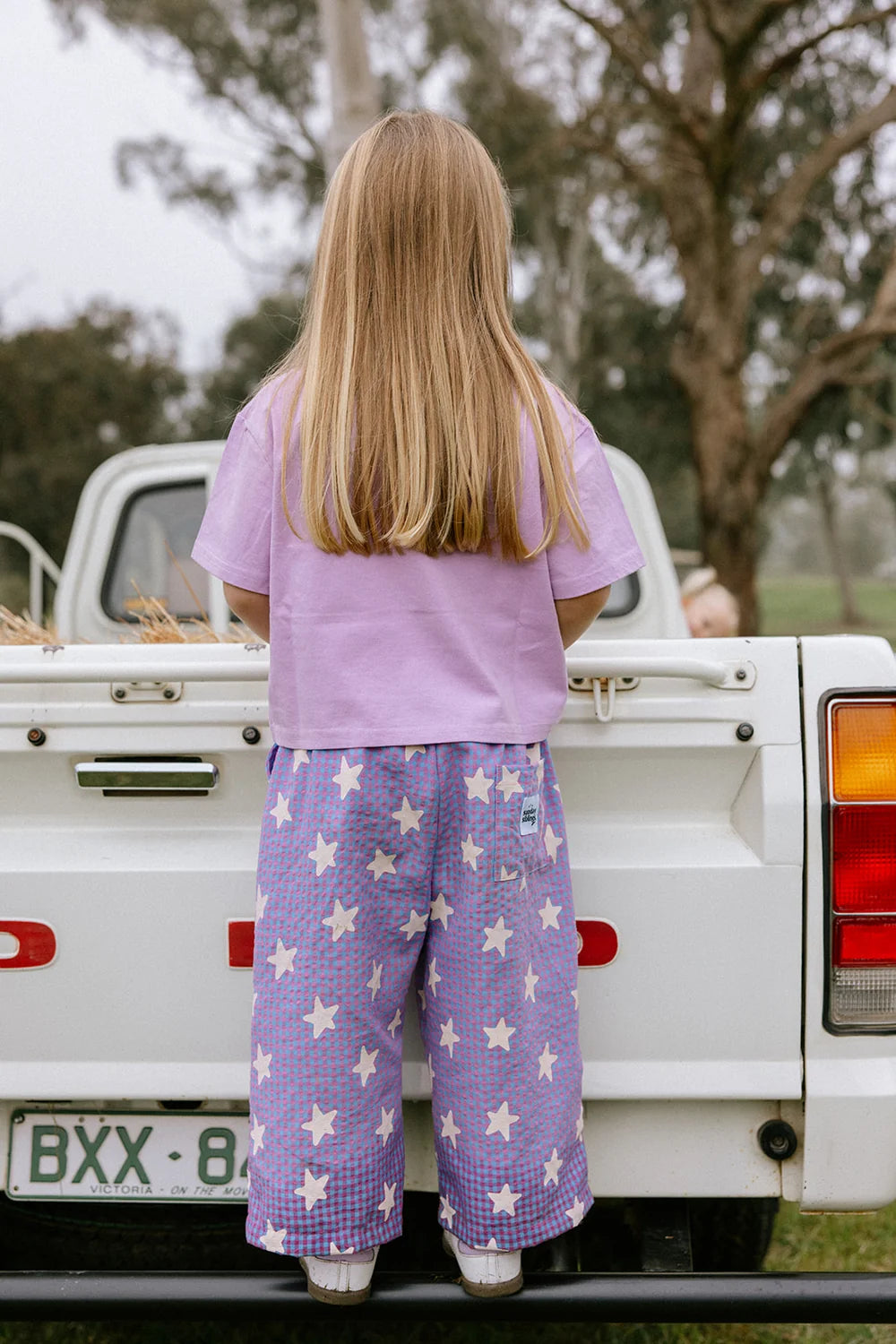 Dusty Star Pants ~ Purple Gingham