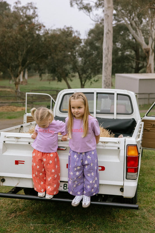Dusty Star Pants ~ Purple Gingham