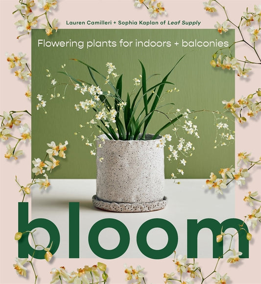 Bloom - Flowering Plants for Indoors and Balconies
